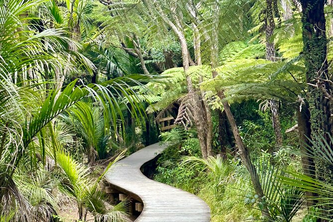 Private Piha Beach, Rainforest Adventure & Mt. Eden with Guide - Arataki Visitor Centre and the first wide view