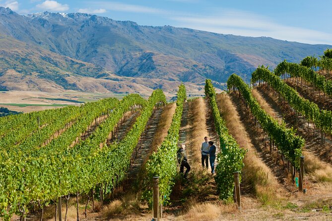 Private Queenstown Wine Tour All-Inclusive Tour - A private route through Central Otago wine country