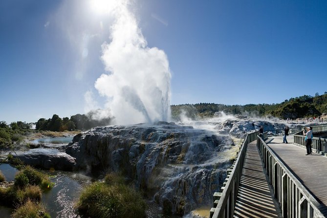 Private Rotorua Tour from Tauranga (Max 11) - Why this Tauranga shore trip works