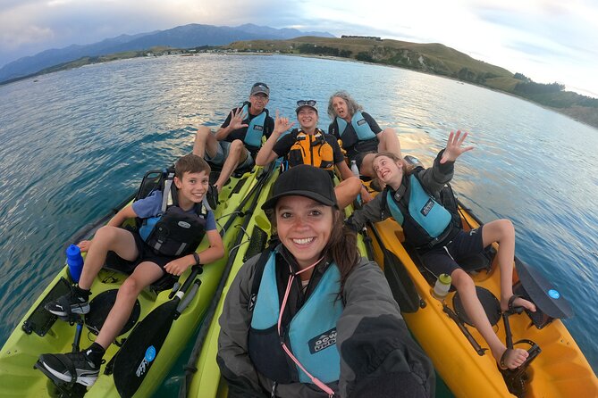 Private Seal Kayaking and Wildlife Tour in Kaikoura - What the private format is worth at $83.78