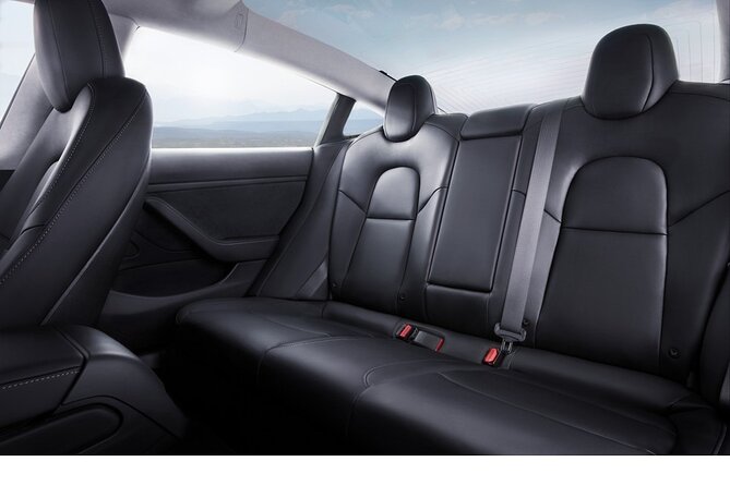 Private Tesla Transfer: Auckland, Tauranga, Rotorua, Taupo - Auckland pickup and the start of your journey