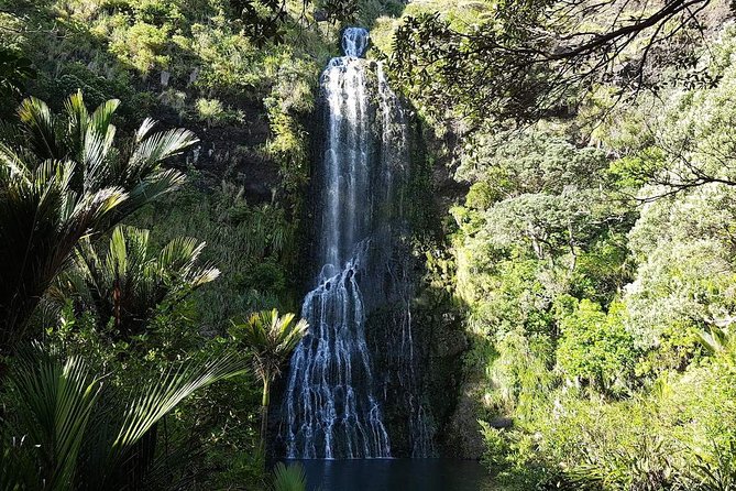 Private Tour: Auckland City and Countryside Tour - One hour at Maungawhau, or Mt Eden