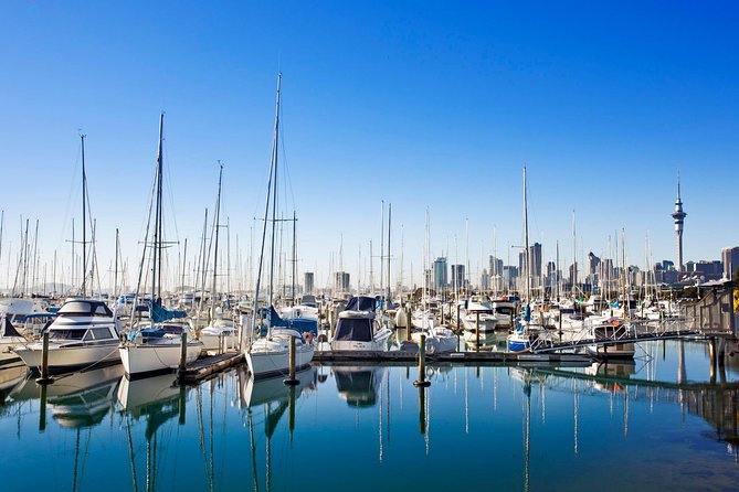 Private Tour: Auckland City and Countryside Tour - The guides make or break the day
