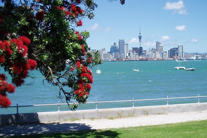 Private Tour: Auckland City and Countryside Tour - Pickup, timing, and airport or port plans