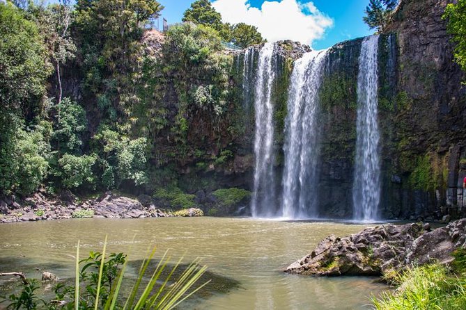 Private Tour: Bay of Islands Day Trip from Auckland - Haruru Falls and the road toward Paihia