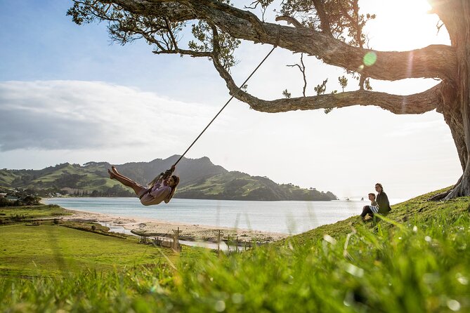 Private Tour - Coromandel Beach, Caves & Forest - Leaving Auckland in a private Mercedes