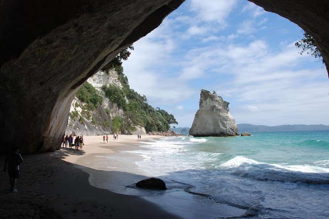 Private Tour - Coromandel Beach, Caves & Forest - Riding the Driving Creek Railway