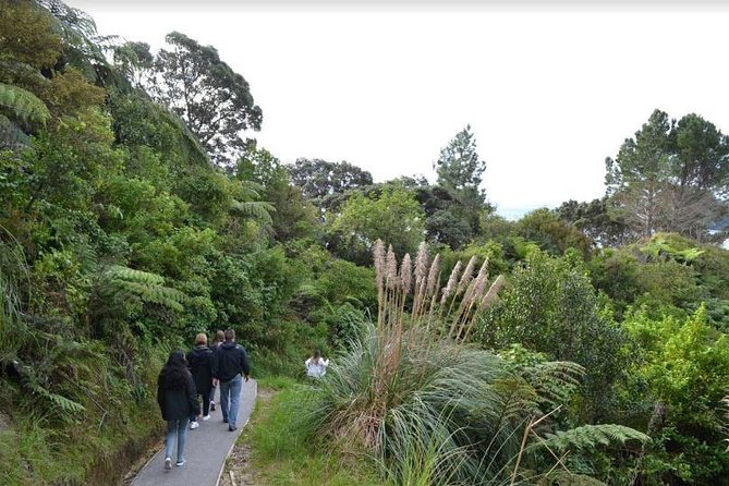 Private Tour - Coromandel Beach, Caves & Forest - Why the private guide matters