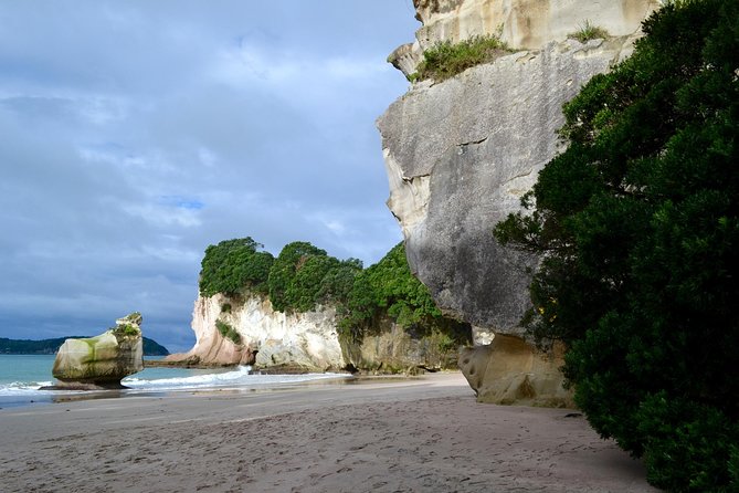 Private Tour - Coromandel Beach, Caves & Forest - Who should book this day?