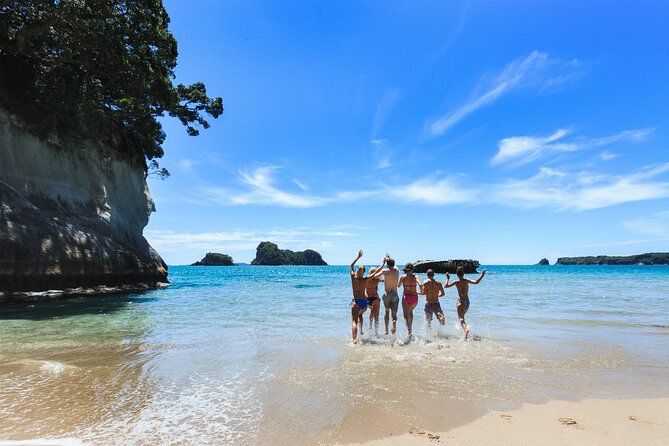 Private Tour - Coromandel Beach, Caves & Forest - Practical advice before you go