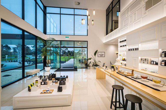 Private tour from Auckland - Waitomo Glowworm Caves, Zealong Tea & Kiwi Bird - Organic tea at Zealong Tea Estate