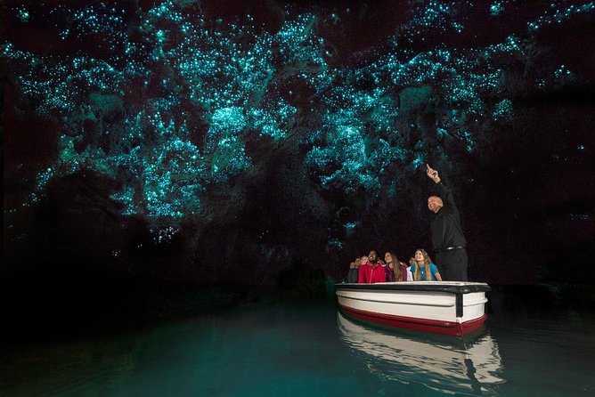 Private tour from Auckland - Waitomo Glowworm Caves, Zealong Tea & Kiwi Bird - Who should book this Auckland day tour?