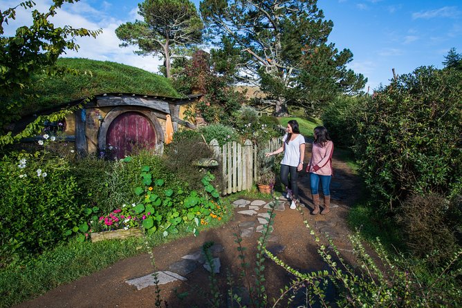 Private Tour - Hobbiton Movie Set & Te Puia (Rotorua) - Why the guide matters on a long day