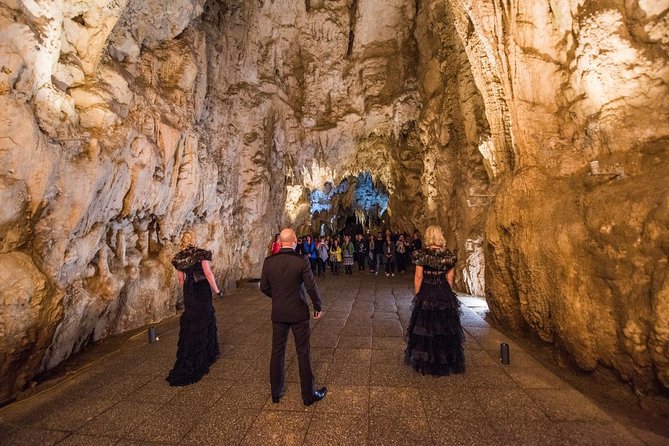 Private Tour: Hobbiton & Waitomo Glowworm Cave Experience - Who gets the best value