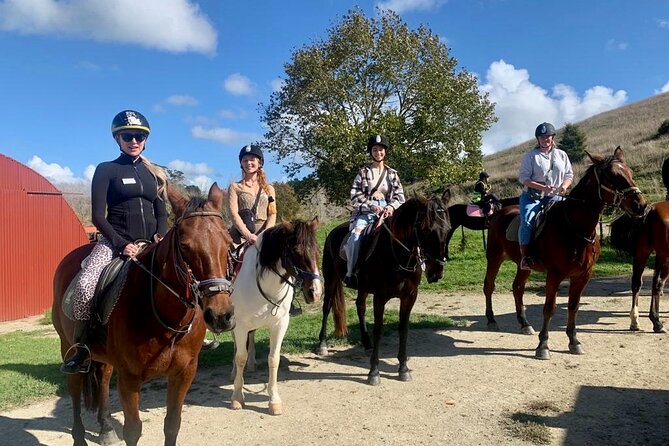 Private Tour - Horse Riding, Wine Tasting and Art Trail - What this six-hour Auckland day is really selling