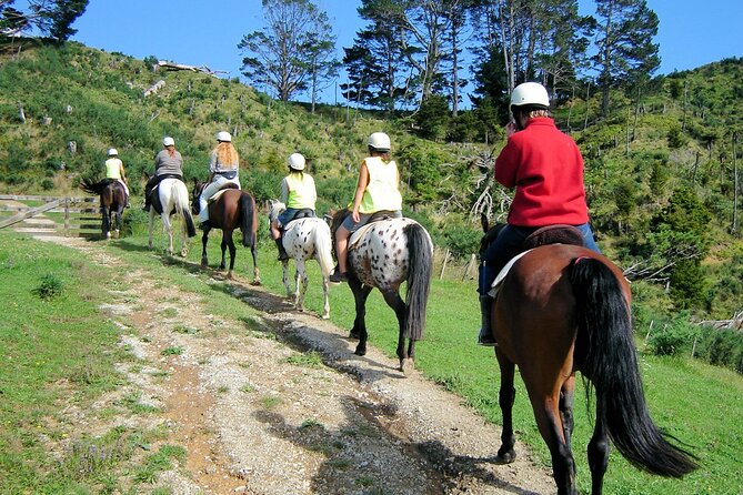 Private Tour - Horse Riding, Wine Tasting and Art Trail - Why private transport changes the experience