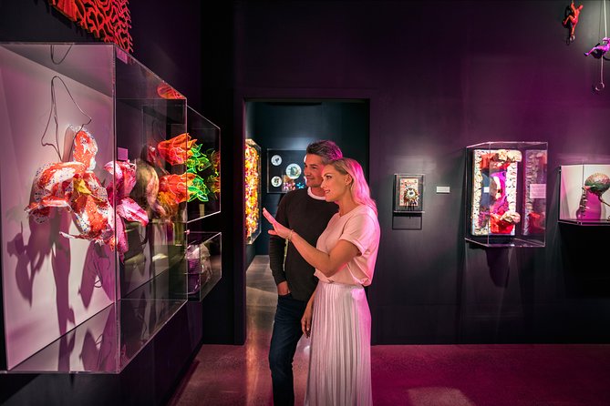 Private tour - Matakana Art & Wine Village - Is six hours enough?