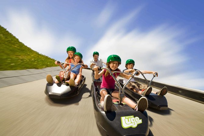 Private Tour - Rotorua Adventures Day Trip From Auckland - Lunch, snacks, and the small comforts