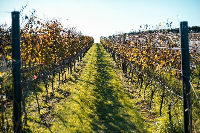 Private Tour - Waiheke Island Luxury Experience - Why Waiheke makes a fine Auckland day trip