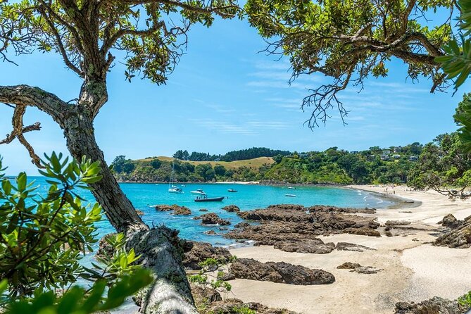 Private Tour - Waiheke Island Luxury Experience - Lunch, snacks, and time beside the water