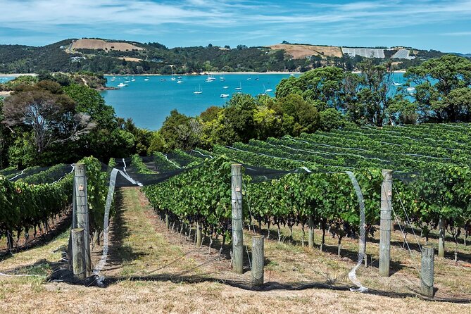 Private Tour - Waiheke Island Luxury Experience - Six hours on Waiheke, then back to Auckland
