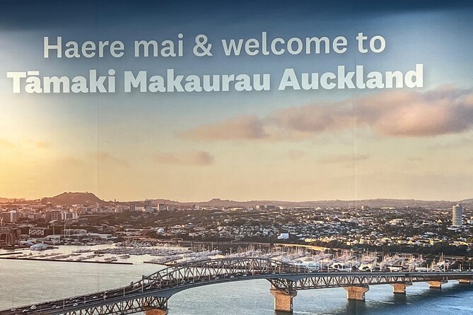 Private Transfer From Auckland Airport To Rotorua - Why a private vehicle can be worth the price