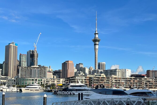Private Transfer From Auckland City To Auckland Airport - A straightforward ride from Auckland City to the terminal