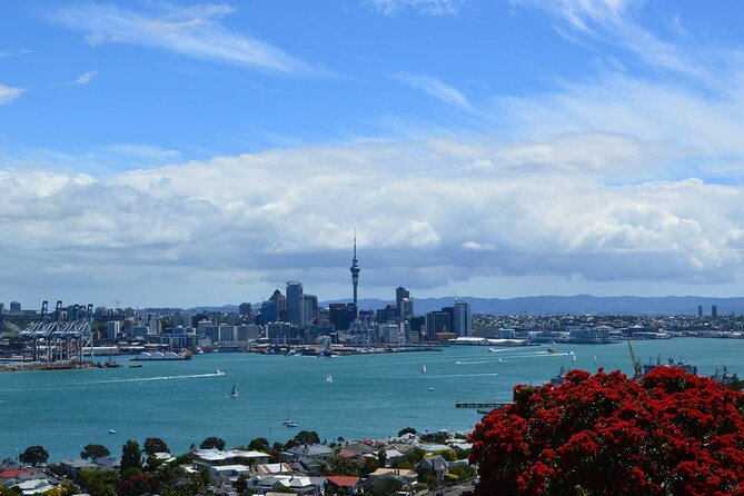 Private Transfer From Auckland City To Auckland Airport - Timing, operating hours, and flight planning