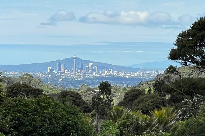 Private Transfer From Auckland International Airport To Auckland City - The luggage service is more valuable than it sounds
