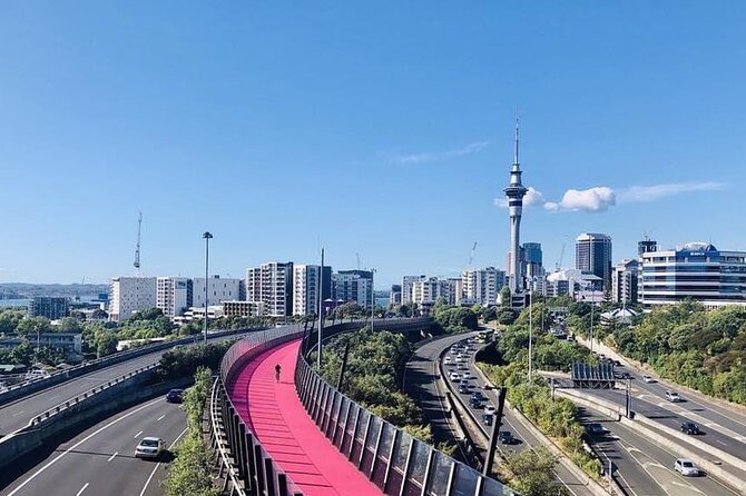 Private Transfer From Cruise Ship To Auckland Airport - Communication is the key safety net