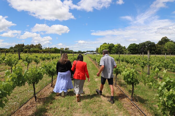 Private Wairarapa Wine Delights Tour from Wellington - Why this private Wairarapa day works well from Wellington