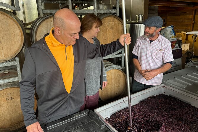 Private Wairarapa Wine Delights Tour from Wellington - What the guide adds beyond driving
