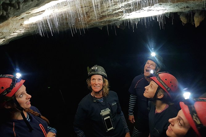 Private Waitomo Glowworm Cave Tours - The glowworms and the quiet moments