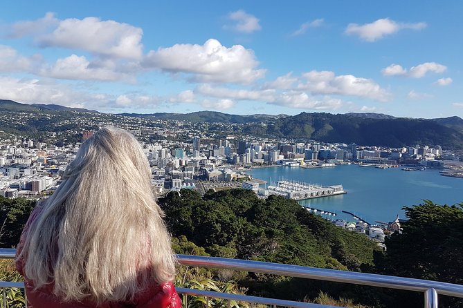 Private Wellington Full Day Sightseeing Tour - A smart way to get your Wellington bearings