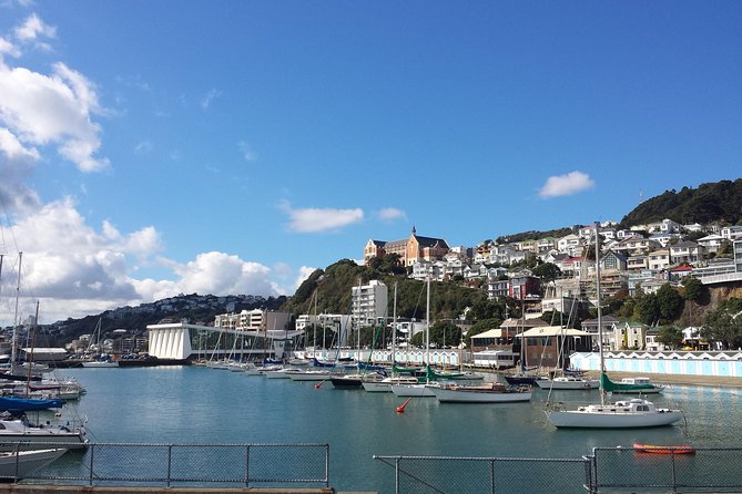 Private Wellington Full Day Sightseeing Tour - Red Rocks for coastal views and seals