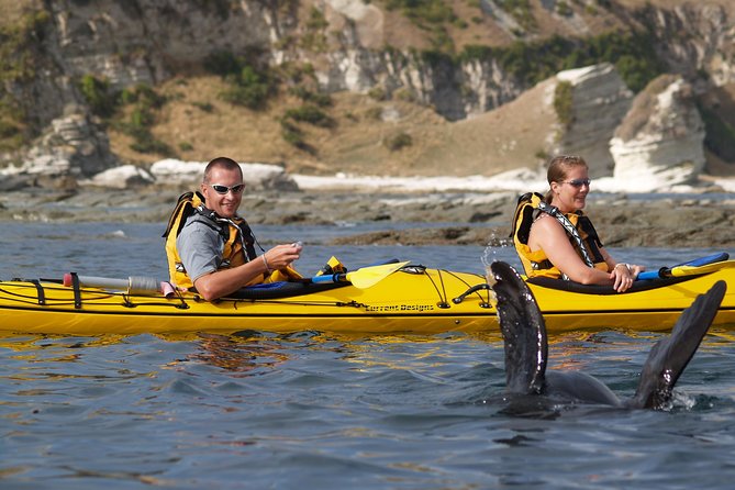 Private Wildlife Kayaking Tour - Kaikoura - Paddling beside the Kaikoura Peninsula