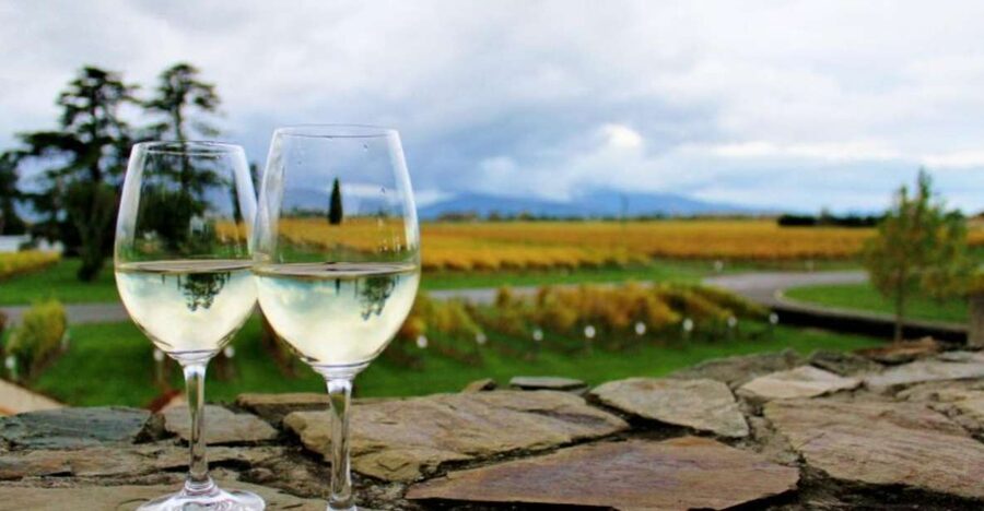 Progressive Wine & Gourmet Trail from Blenheim or Picton - Why this six-hour trail works