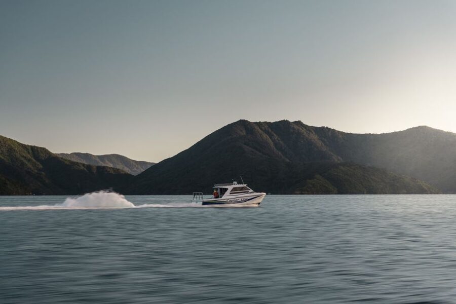 Queen Charlotte Sound Cruise with Lunch - A short walk and a slow afternoon