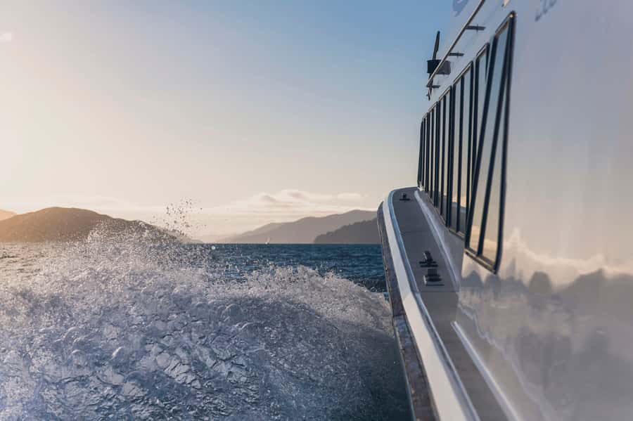 Queen Charlotte Sound Cruise with Lunch - The return to Picton at about 5pm