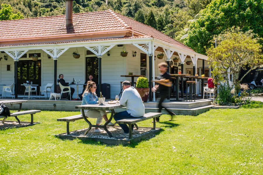 Queen Charlotte Sound Cruise with Lunch - Who will enjoy this outing most?