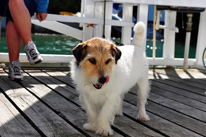 Queen Charlotte Sound Mail Boat Cruise - The skippers make the difference