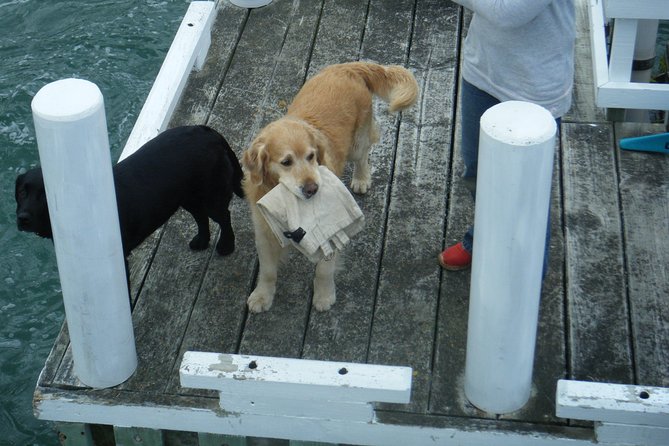 Queen Charlotte Sound Mail Boat Cruise - Choosing the right boat and seat
