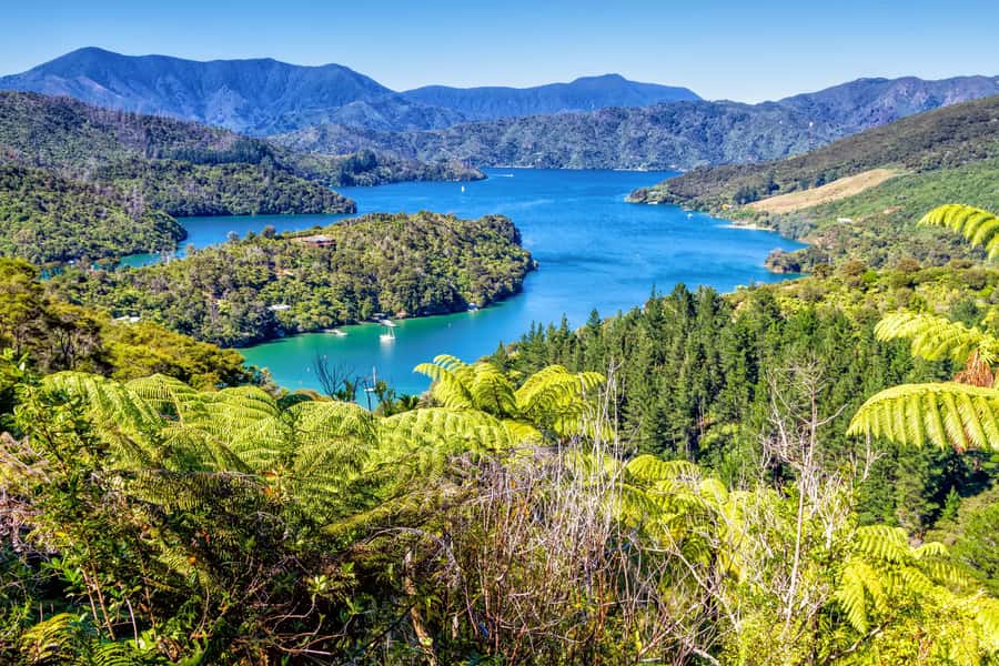 Queen Charlotte Track: Cruise & Self-Guided Hike from Picton - Why this Picton day trip works so well