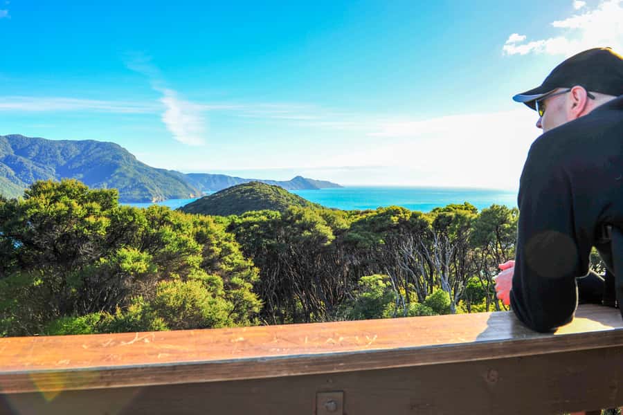 Queen Charlotte Track: Cruise & Self-Guided Hike from Picton - The 17-kilometer walk from Ship Cove to Furneaux Lodge