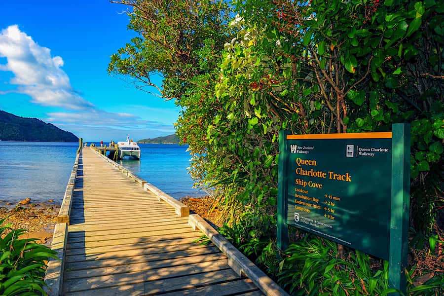 Queen Charlotte Track: Cruise & Self-Guided Hike from Picton - Furneaux Lodge, Punga Cove, and the rewards at the end