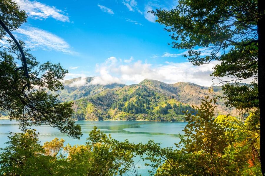 Queen Charlotte Track: Cruise & Self-Guided Hike from Picton - The return boat and the importance of patience
