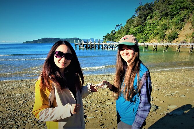 Queen Charlotte Track - Ultimate one Day Walk and Cruise - Ship Cove and the best five kilometres