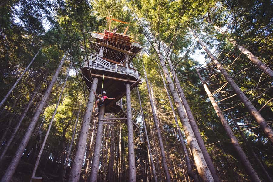 Queenstown: 1-Hour Zipline Tour with 2-Lines & 21-Meter Drop - The first line: learning the rhythm