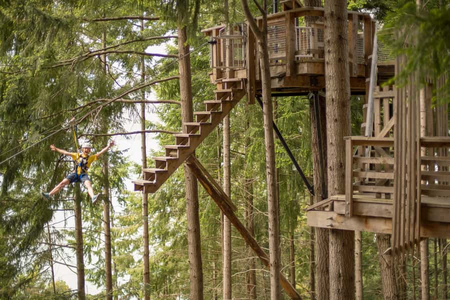 Queenstown: 3-Hour Zipline Adventure with 6-Lines - Six things to know before you book