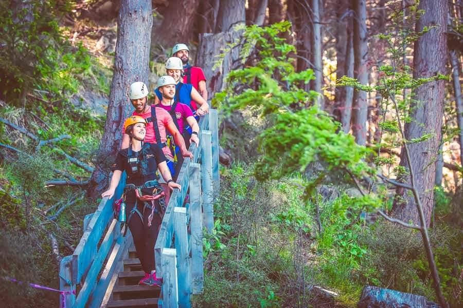 Queenstown: 3-Hour Zipline Adventure with 6-Lines - The downhill forest walk changes the pace